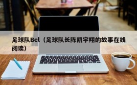 足球队Bel(足球队长陈凯宇翔的故事在线阅读)