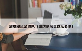 潍坊飓风足球队(潍坊飓风足球队名单)