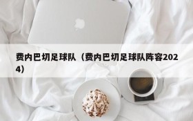 费内巴切足球队(费内巴切足球队阵容2024)