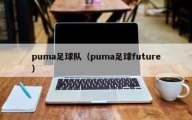 puma足球队(puma足球future)