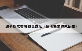 纽卡斯尔有哪些足球队(纽卡斯尔球队历史)