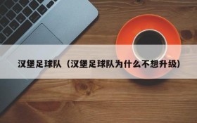 汉堡足球队(汉堡足球队为什么不想升级)