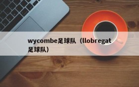 wycombe足球队（llobregat足球队）