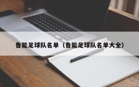 鲁能足球队名单（鲁能足球队名单大全）