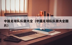 中国足球队队徽大全(中国足球队队徽大全图片)