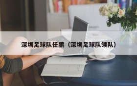 深圳足球队任鹏(深圳足球队领队)