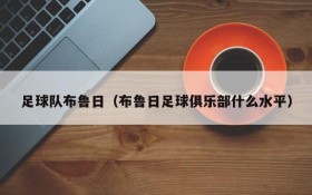 足球队布鲁日(布鲁日足球俱乐部什么水平)