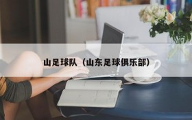 山足球队(山东足球俱乐部)