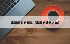 塞黑国家足球队(塞黑足球队名单)