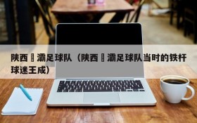 陕西浐灞足球队(陕西浐灞足球队当时的铁杆球迷王成)