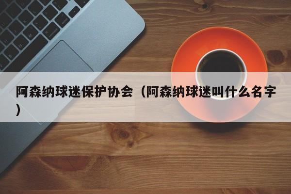 阿森纳球迷保护协会（阿森纳球迷叫什么名字）