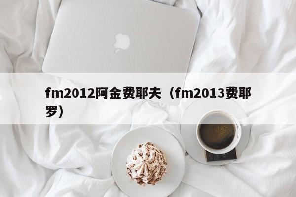 fm2012阿金费耶夫（fm2013费耶罗）