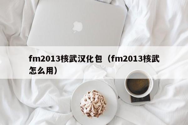 fm2013核武汉化包（fm2013核武怎么用）