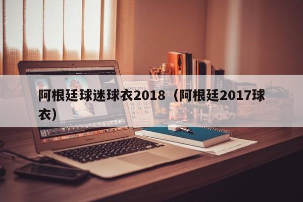 阿根廷球迷球衣2018（阿根廷2017球衣）