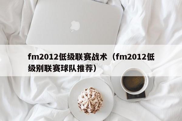 fm2012低级联赛战术（fm2012低级别联赛球队推荐）