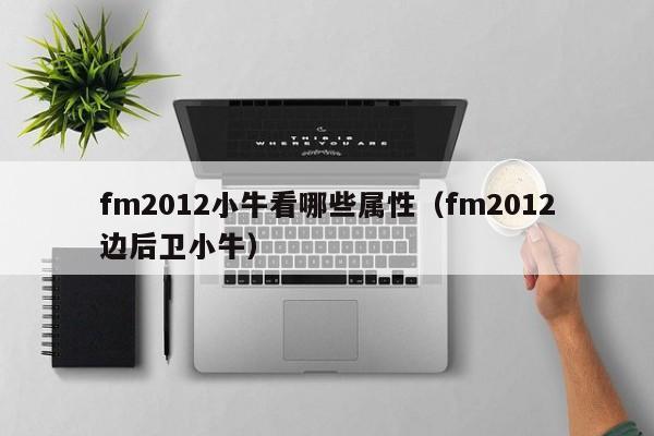 fm2012小牛看哪些属性（fm2012边后卫小牛）