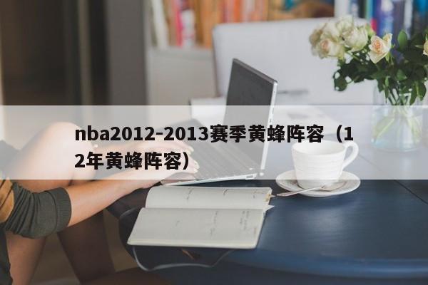 nba2012-2013赛季黄蜂阵容（12年黄蜂阵容）