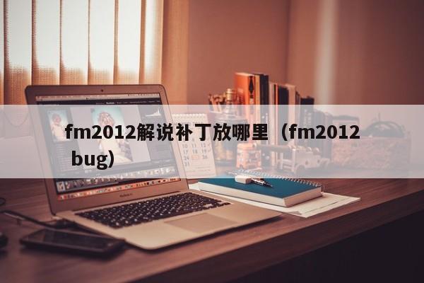 fm2012解说补丁放哪里（fm2012 bug）