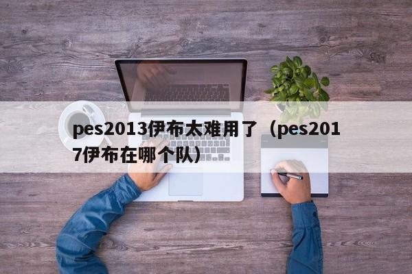 pes2013伊布太难用了（pes2017伊布在哪个队）