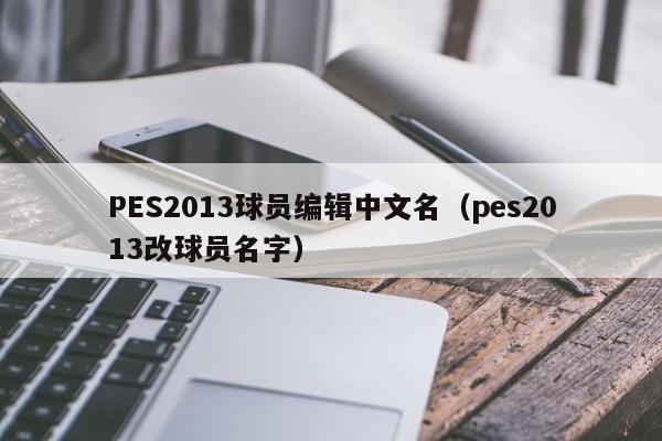 PES2013球员编辑中文名（pes2013改球员名字）