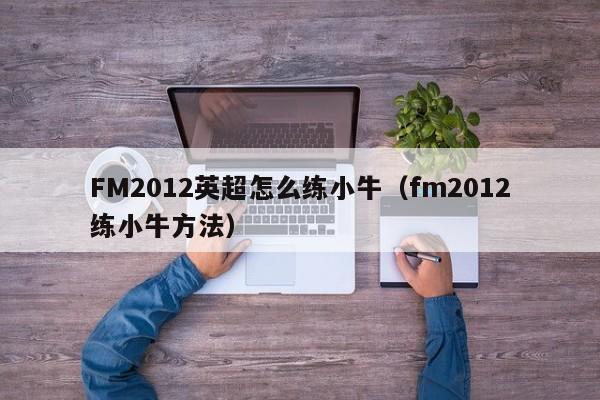 FM2012英超怎么练小牛（fm2012练小牛方法）