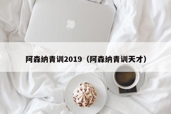 阿森纳青训2019（阿森纳青训天才）