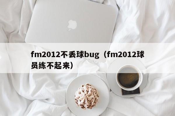 fm2012不丢球bug（fm2012球员练不起来）