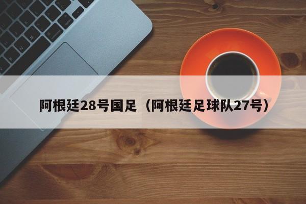 阿根廷28号国足（阿根廷足球队27号）