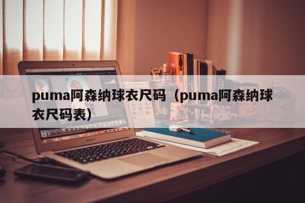 puma阿森纳球衣尺码（puma阿森纳球衣尺码表）