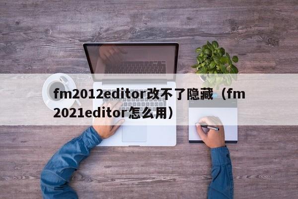 fm2012editor改不了隐藏（fm2021editor怎么用）