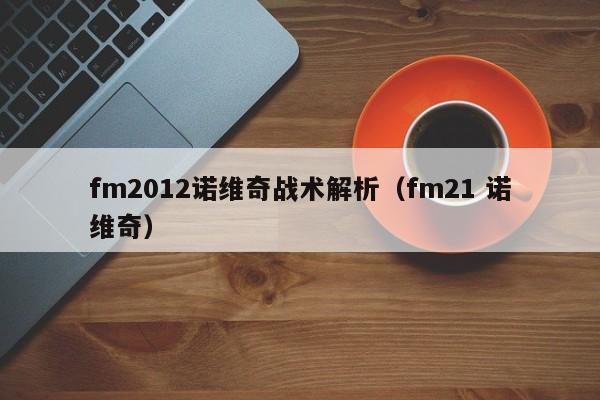 fm2012诺维奇战术解析（fm21 诺维奇）