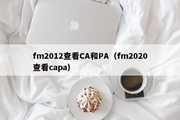 fm2012查看CA和PA（fm2020查看capa）