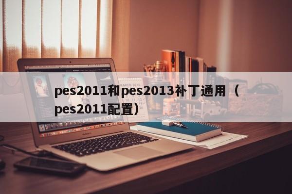 pes2011和pes2013补丁通用（pes2011配置）