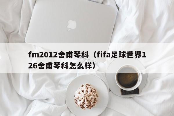 fm2012舍甫琴科（fifa足球世界126舍甫琴科怎么样）