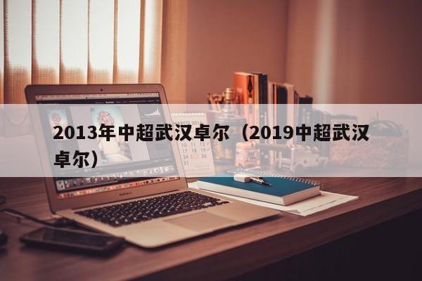 2013年中超武汉卓尔（2019中超武汉卓尔）