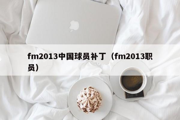 fm2013中国球员补丁（fm2013职员）