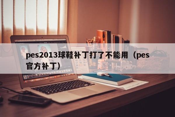 pes2013球鞋补丁打了不能用（pes官方补丁）