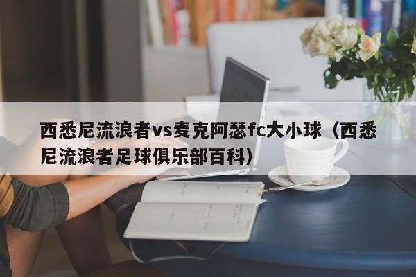 西悉尼流浪者vs麦克阿瑟fc大小球（西悉尼流浪者足球俱乐部百科）