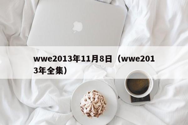 wwe2013年11月8日（wwe2013年全集）