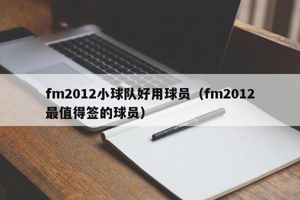 fm2012小球队好用球员（fm2012最值得签的球员）