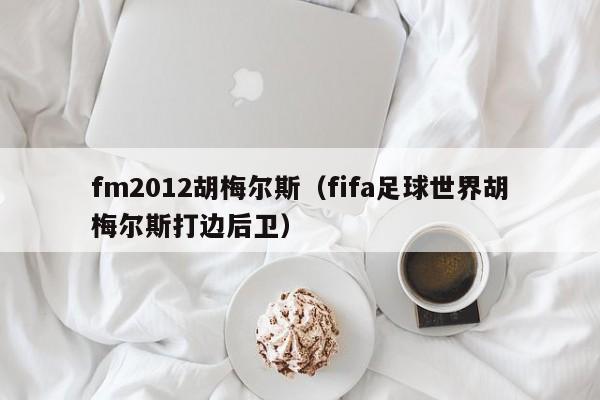 fm2012胡梅尔斯（fifa足球世界胡梅尔斯打边后卫）