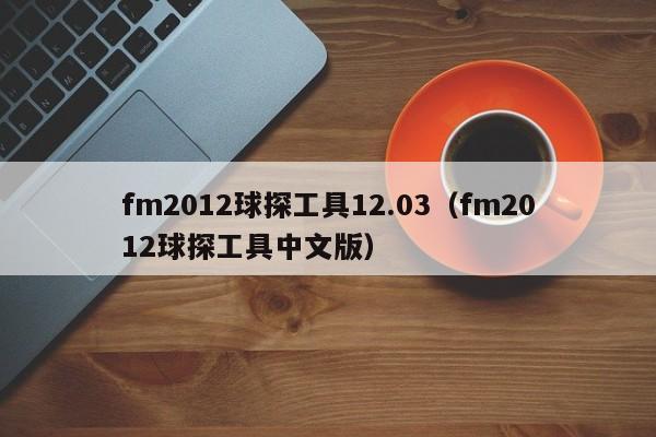 fm2012球探工具12.03（fm2012球探工具中文版）