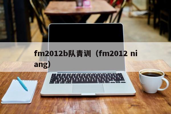 fm2012b队青训（fm2012 niang）