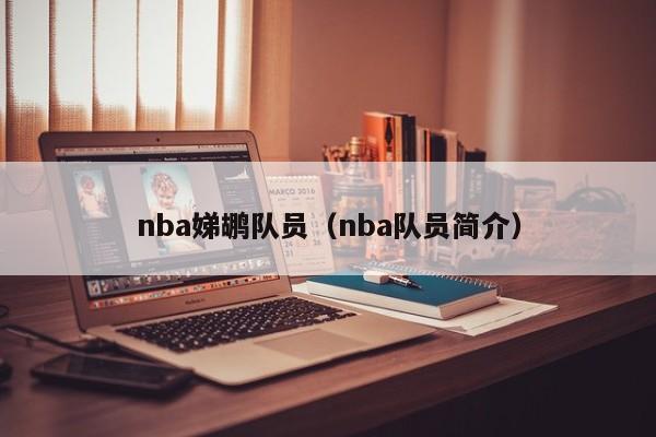 nba娣鹕队员（nba队员简介）