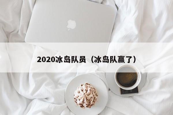 2020冰岛队员（冰岛队赢了）