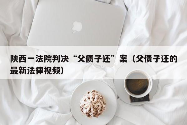 陕西一法院判决“父债子还”案（父债子还的最新法律视频）