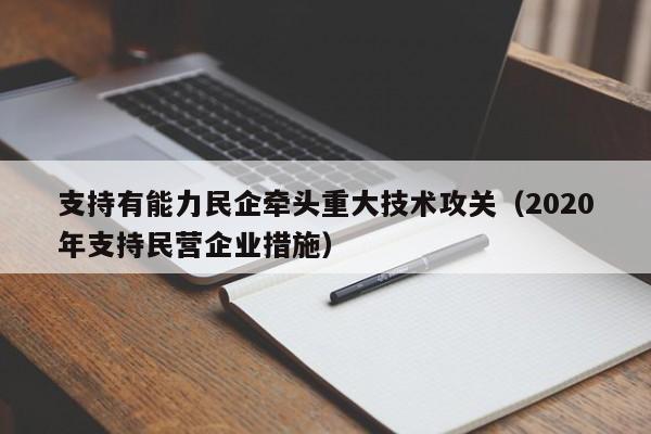 支持有能力民企牵头重大技术攻关（2020年支持民营企业措施）