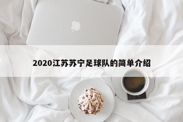 2020江苏苏宁足球队的简单介绍