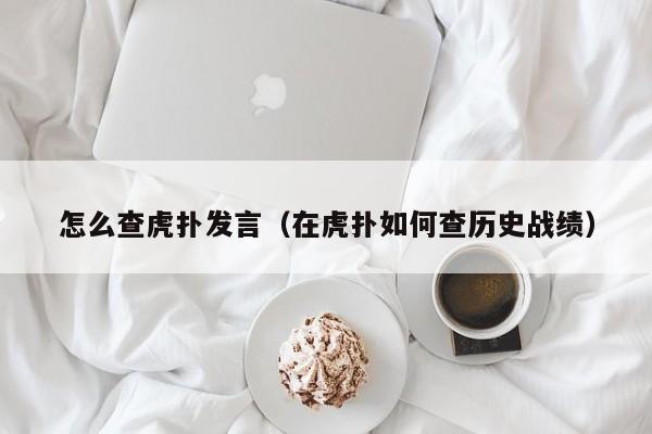 怎么查虎扑发言（在虎扑如何查历史战绩）