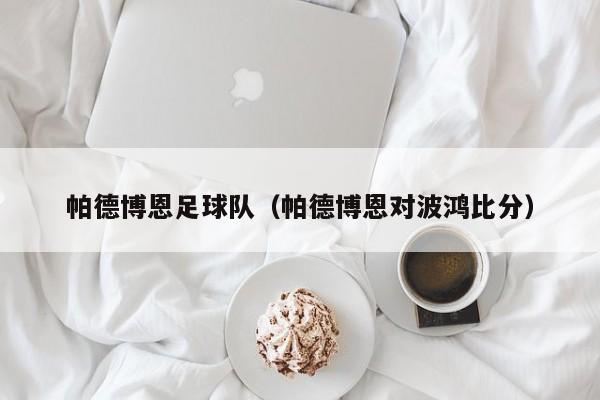 帕德博恩足球队（帕德博恩对波鸿比分）